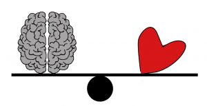 brain, head, psychology-2146156.jpg